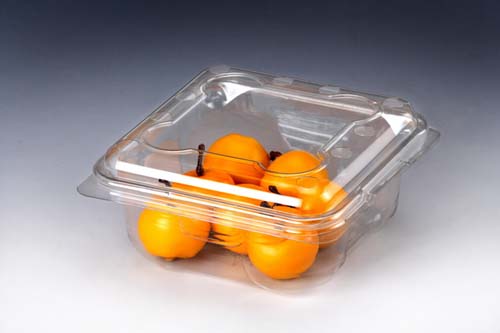 XF-FOOD-00030
